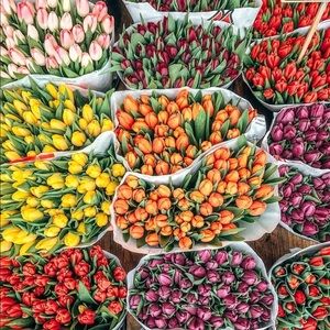 Meet your Posher, Devin